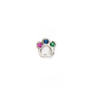 Pendiente Huellita Colores PLATA Pendiente Huellita Colores PLATA