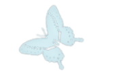 mariposa-pequenฬa
